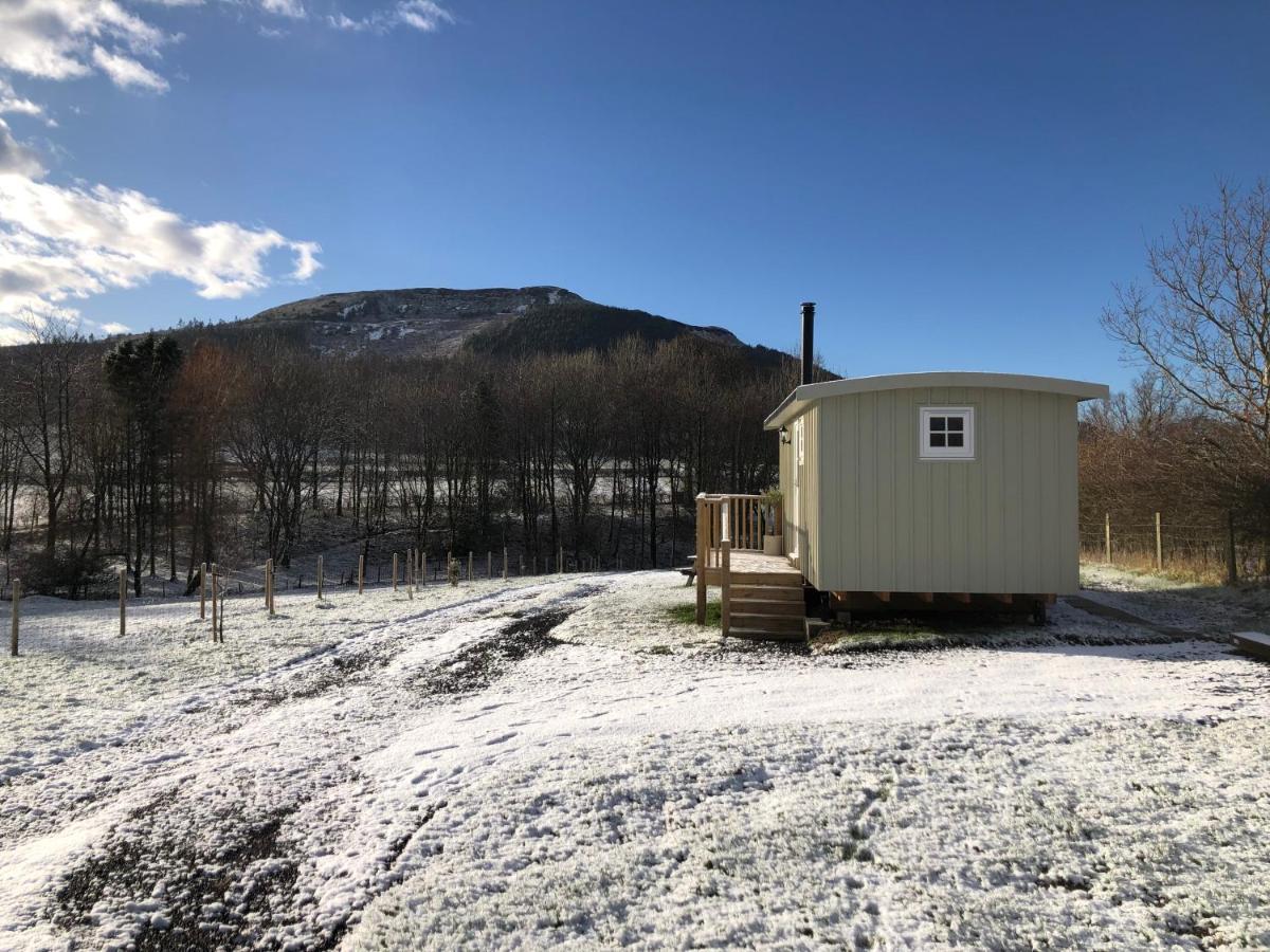 Rosemary Shepherds Hut, Clay Bank Huts Ingleby Greenhow 外观 照片