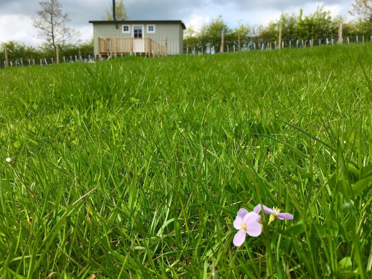 Rosemary Shepherds Hut, Clay Bank Huts Ingleby Greenhow 外观 照片
